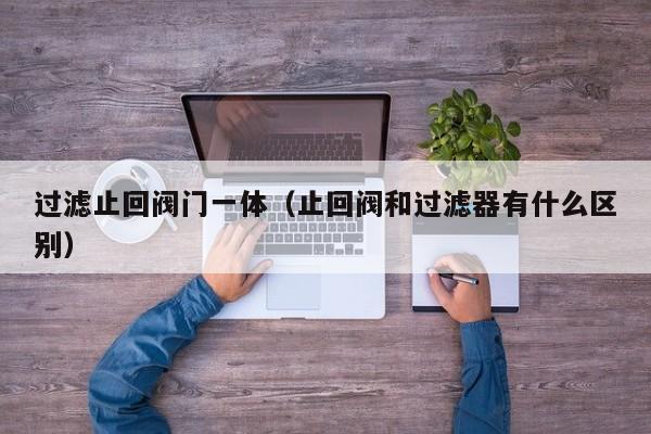 过滤止回阀门一体（止回阀和过滤器有什么区别）