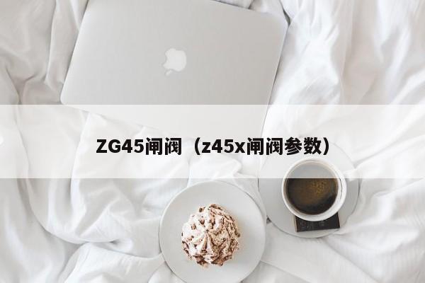 ZG45闸阀（z45x闸阀参数）