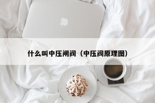 什么叫中压闸阀（中压阀原理图）