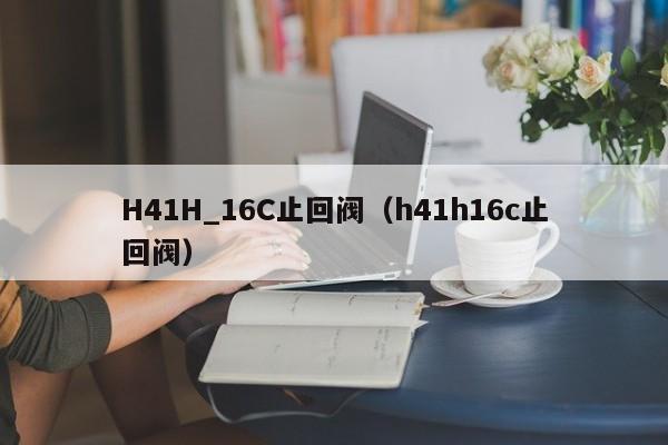 H41H_16C止回阀（h41h16c止回阀）