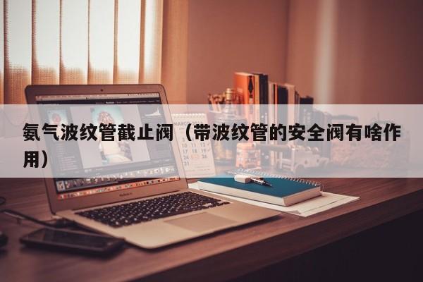 氨气波纹管截止阀（带波纹管的安全阀有啥作用）