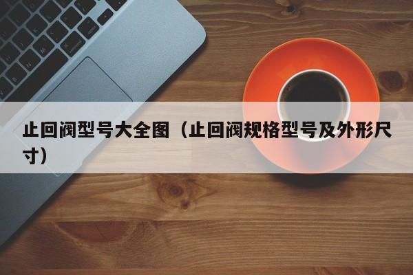 止回阀型号大全图（止回阀规格型号及外形尺寸）
