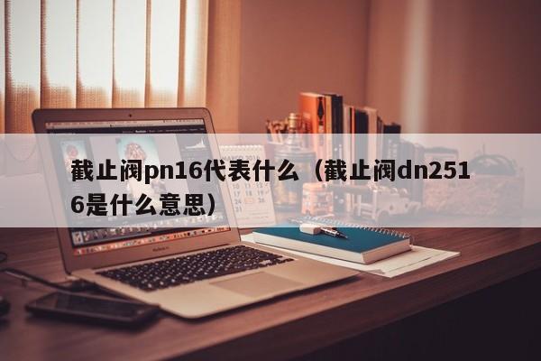 截止阀pn16代表什么（截止阀dn2516是什么意思）