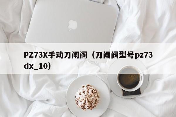 PZ73X手动刀闸阀（刀闸阀型号pz73dx_10）