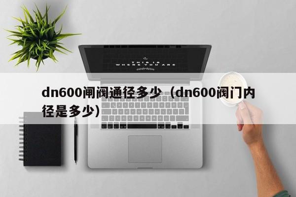 dn600闸阀通径多少（dn600阀门内径是多少）