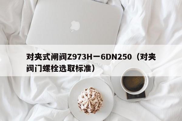 对夹式闸阀Z973H一6DN250（对夹阀门螺栓选取标准）