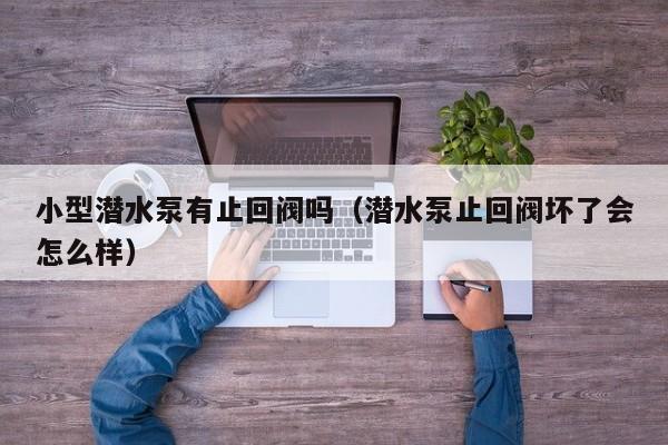 小型潜水泵有止回阀吗（潜水泵止回阀坏了会怎么样）