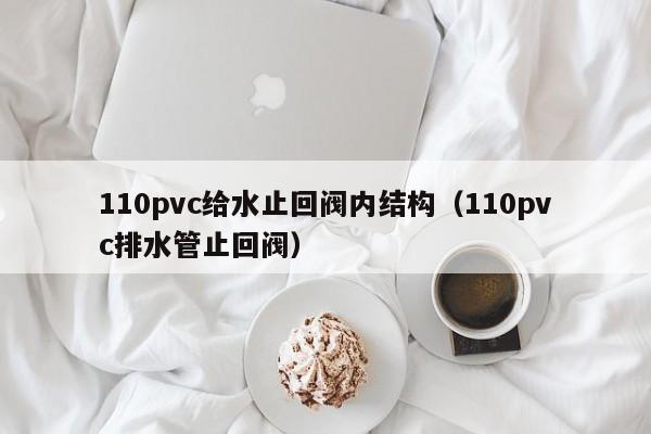 110pvc给水止回阀内结构（110pvc排水管止回阀）