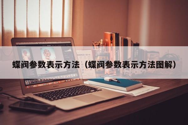 蝶阀参数表示方法（蝶阀参数表示方法图解）