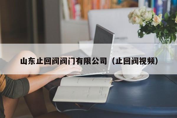 山东止回阀阀门有限公司（止回阀视频）