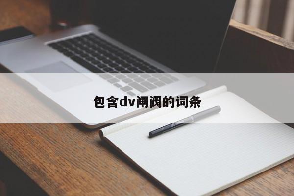 包含dv闸阀的词条