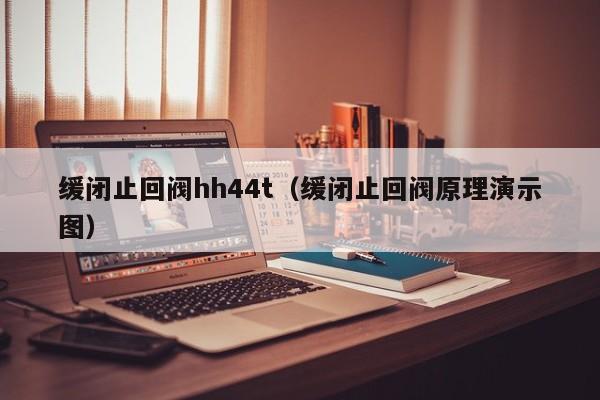 缓闭止回阀hh44t（缓闭止回阀原理演示图）