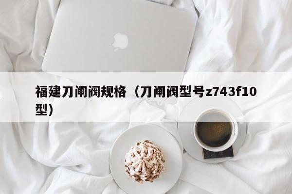 福建刀闸阀规格（刀闸阀型号z743f10型）