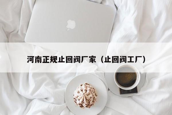 河南正规止回阀厂家（止回阀工厂）