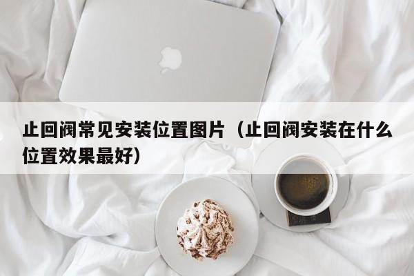 止回阀常见安装位置图片（止回阀安装在什么位置效果最好）