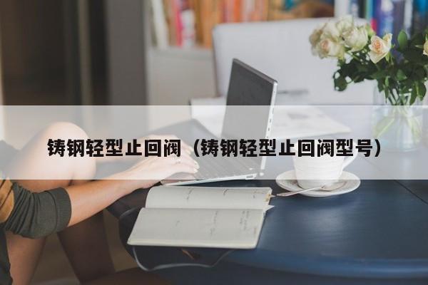 铸钢轻型止回阀（铸钢轻型止回阀型号）