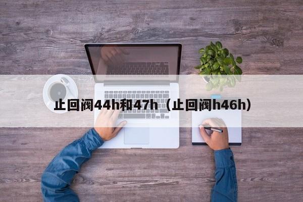 止回阀44h和47h（止回阀h46h）