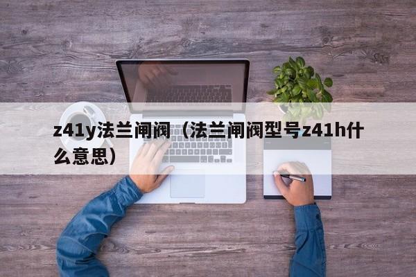 z41y法兰闸阀（法兰闸阀型号z41h什么意思）