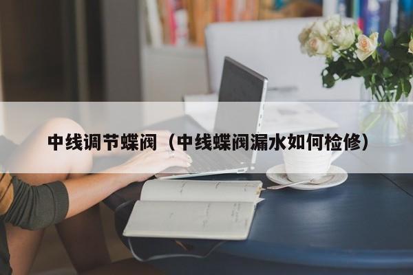 中线调节蝶阀（中线蝶阀漏水如何检修）