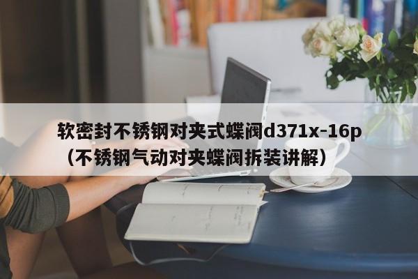 软密封不锈钢对夹式蝶阀d371x-16p（不锈钢气动对夹蝶阀拆装讲解）