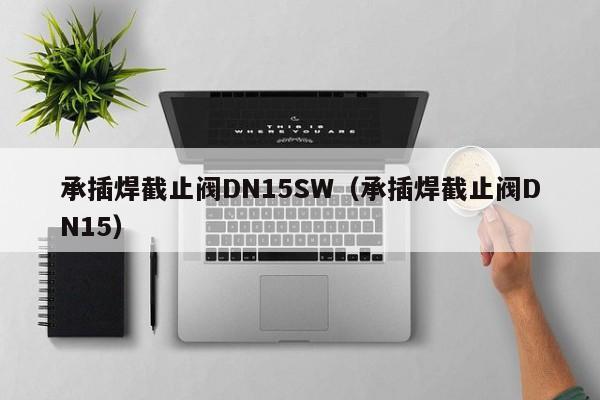 承插焊截止阀DN15SW（承插焊截止阀DN15）