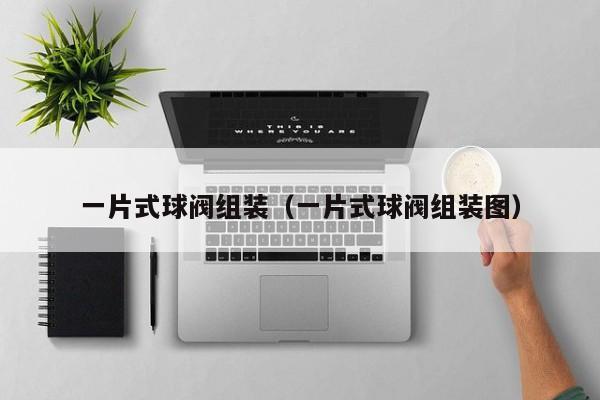 一片式球阀组装（一片式球阀组装图）