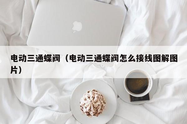 电动三通蝶阀（电动三通蝶阀怎么接线图解图片）