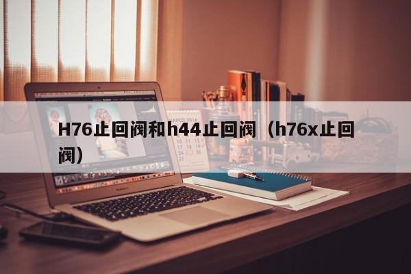 H76止回阀和h44止回阀（h76x止回阀）