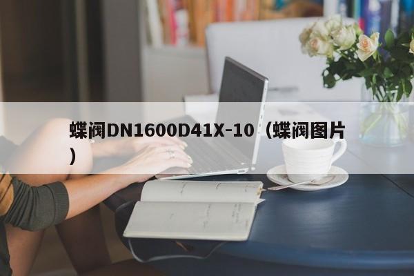 蝶阀DN1600D41X-10（蝶阀图片）