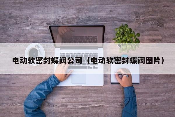 电动软密封蝶阀公司(电动软密封蝶阀图片)