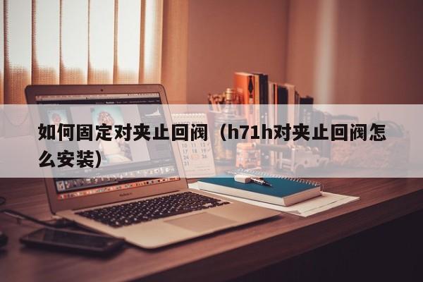 如何固定对夹止回阀(h71h对夹止回阀怎么安装)