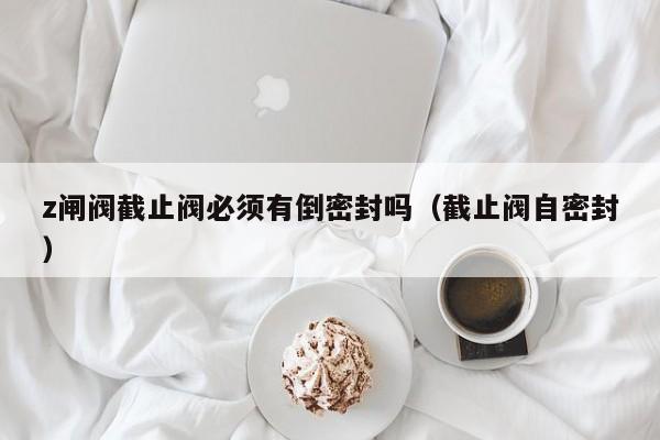 z闸阀截止阀必须有倒密封吗(截止阀自密封)