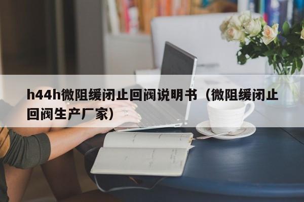 h44h微阻缓闭止回阀说明书(微阻缓闭止回阀生产厂家)