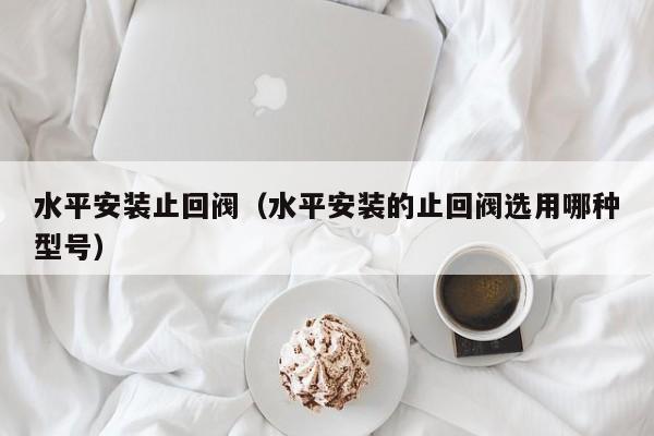 水平安装止回阀(水平安装的止回阀选用哪种型号)