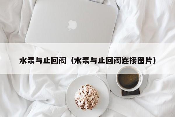水泵与止回阀(水泵与止回阀连接图片)