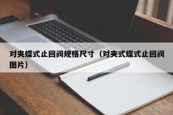 对夹蝶式止回阀规格尺寸(对夹式蝶式止回阀图片)