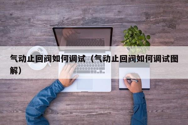 气动止回阀如何调试(气动止回阀如何调试图解)