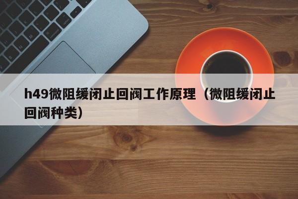 h49微阻缓闭止回阀工作原理(微阻缓闭止回阀种类)