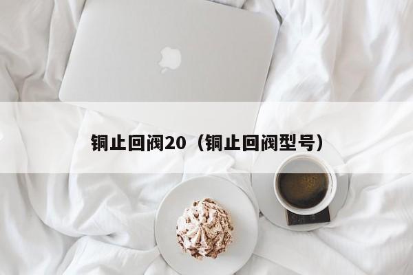 铜止回阀20(铜止回阀型号)