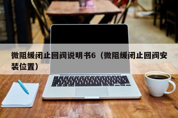 微阻缓闭止回阀说明书6(微阻缓闭止回阀安装位置)
