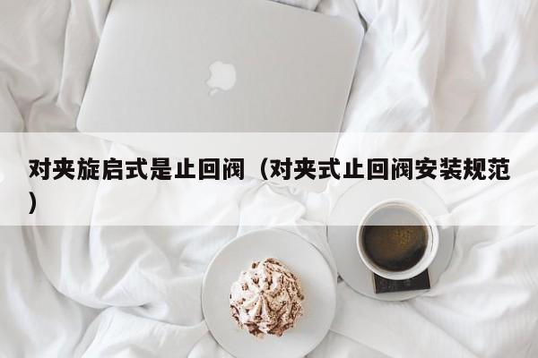 对夹旋启式是止回阀(对夹式止回阀安装规范)