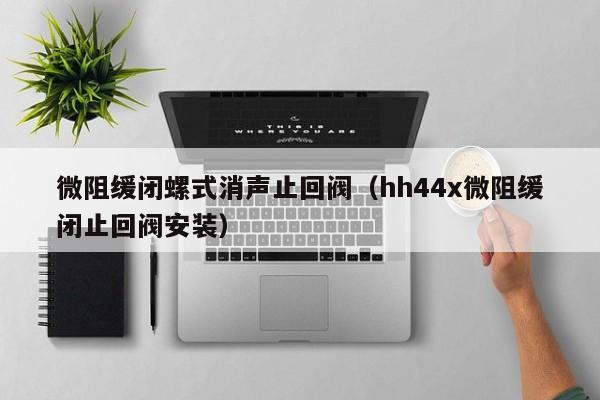 微阻缓闭螺式消声止回阀(hh44x微阻缓闭止回阀安装)