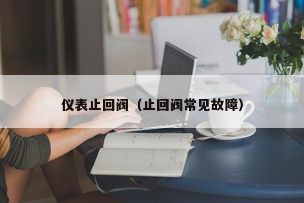 仪表止回阀(止回阀常见故障)