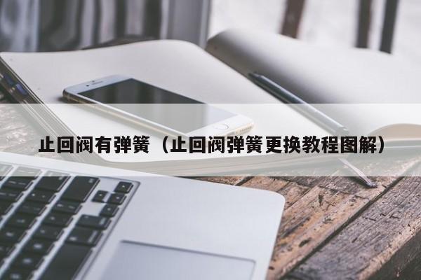 止回阀有弹簧(止回阀弹簧更换教程图解)