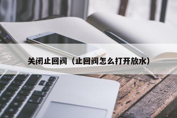 关闭止回阀(止回阀怎么打开放水)