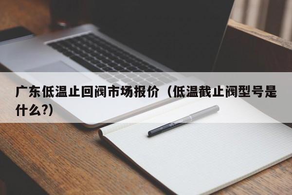 广东低温止回阀市场报价(低温截止阀型号是什么?)